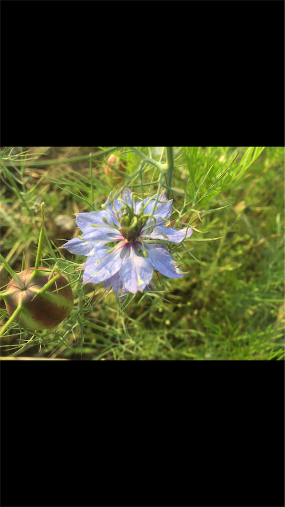 f:id:naturalhao:20160422232007p:image f:id:naturalhao:20160422232007p:image