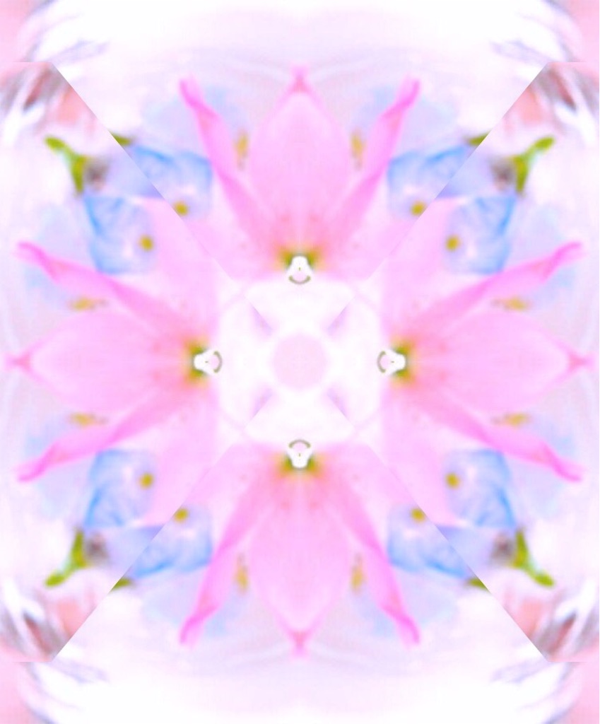f:id:naturalhao:20160506012228j:image f:id:naturalhao:20160506012228j:image