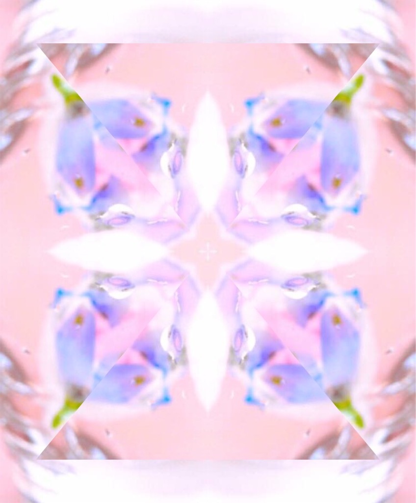 f:id:naturalhao:20160506012245j:image f:id:naturalhao:20160506012245j:image
