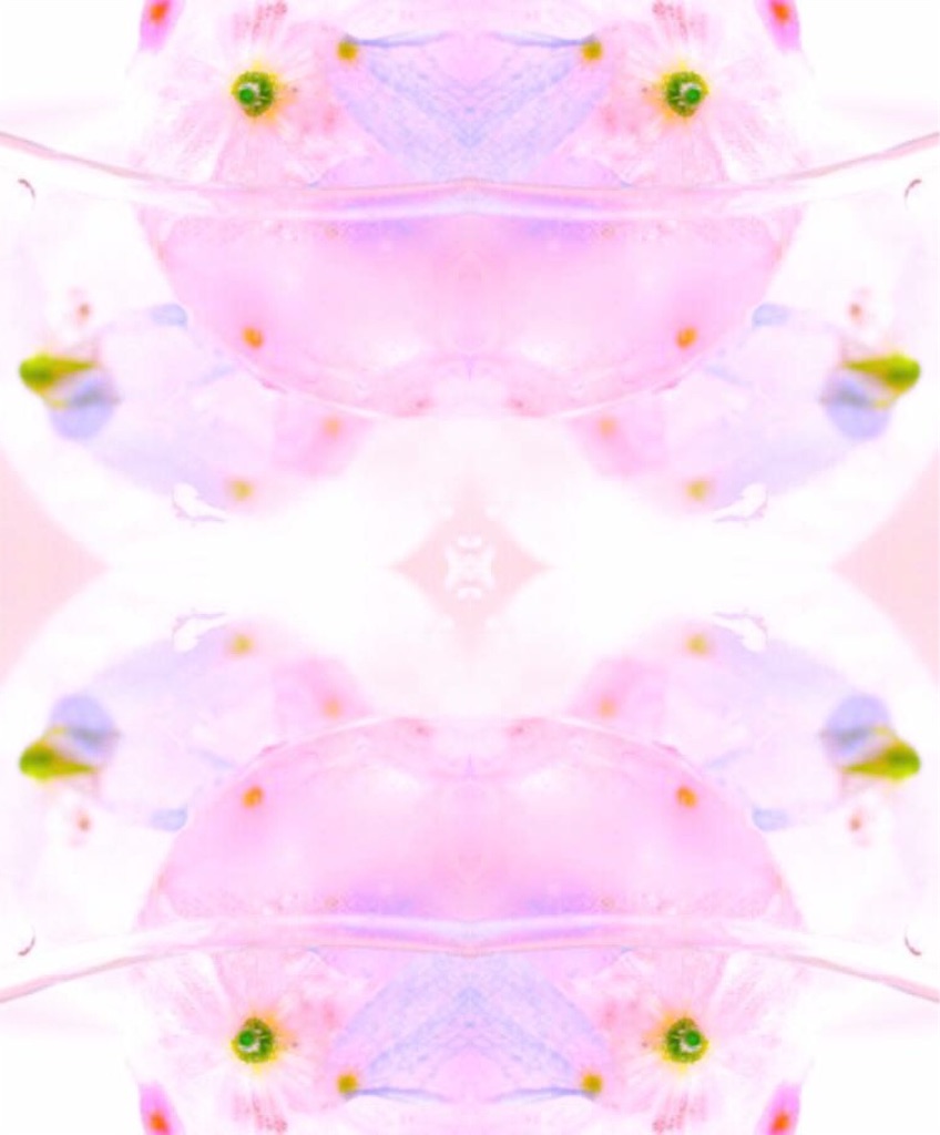 f:id:naturalhao:20160506012258j:image f:id:naturalhao:20160506012258j:image