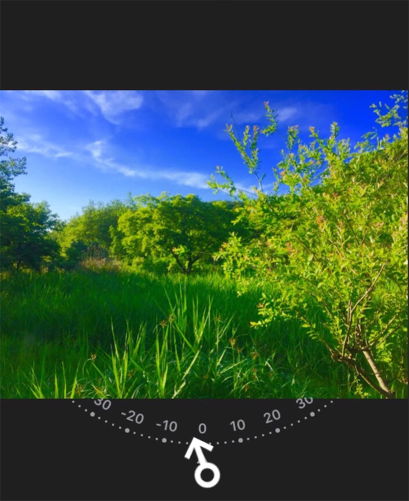 f:id:naturalhao:20160528025813j:image f:id:naturalhao:20160528025813j:image
