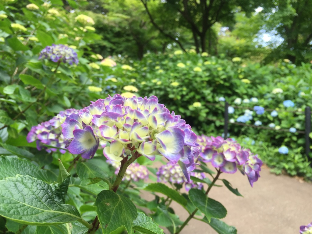 f:id:naturalhao:20160601133520j:image f:id:naturalhao:20160601133520j:image