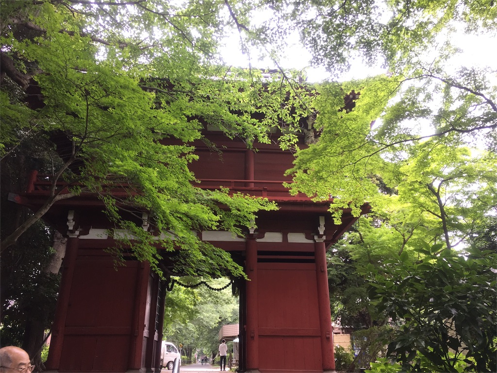 f:id:naturalhao:20160601134232j:image f:id:naturalhao:20160601134232j:image