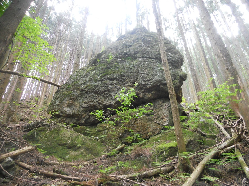 f:id:naturez:20160516011538j:image f:id:naturez:20160516011538j:image