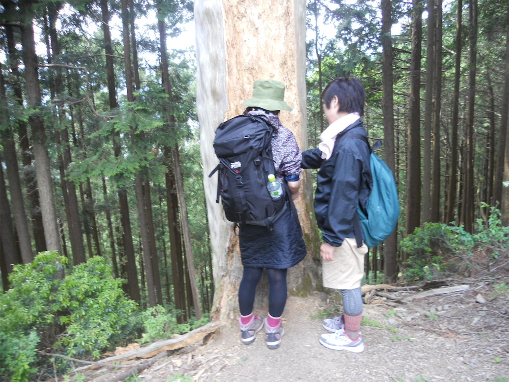 f:id:naturez:20160516012242j:image f:id:naturez:20160516012242j:image