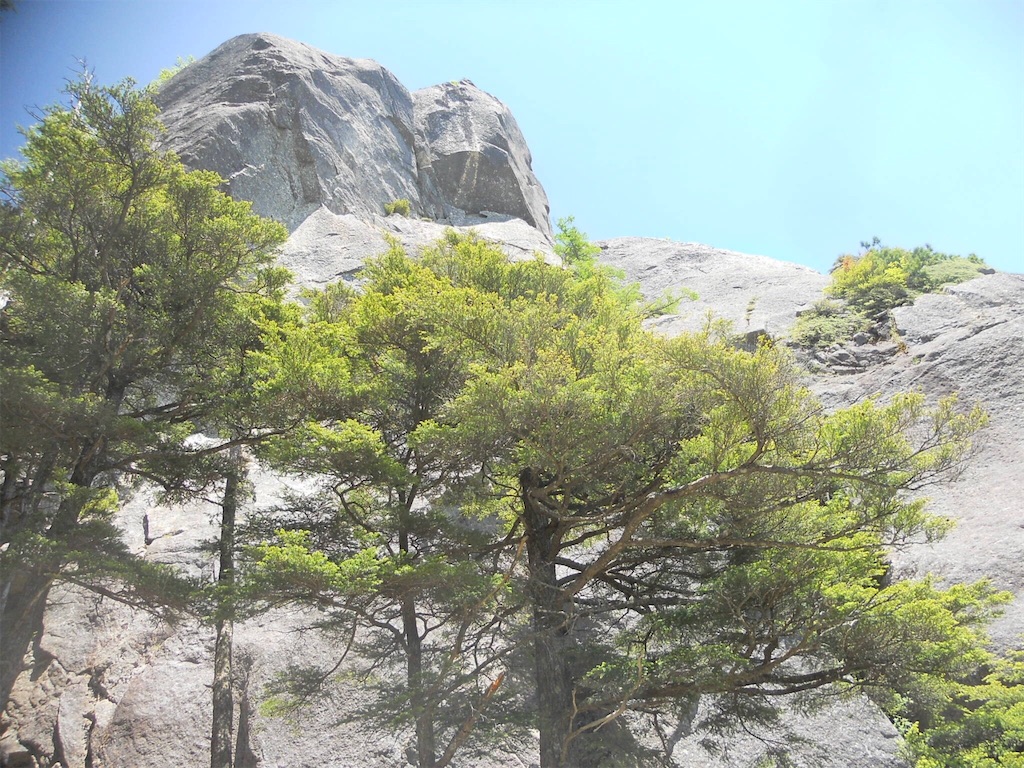 f:id:naturez:20160621084408j:image f:id:naturez:20160621084408j:image