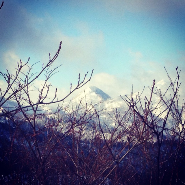 f:id:nauchifufu:20140128002412j:plain f:id:nauchifufu:20140128002412j:plain