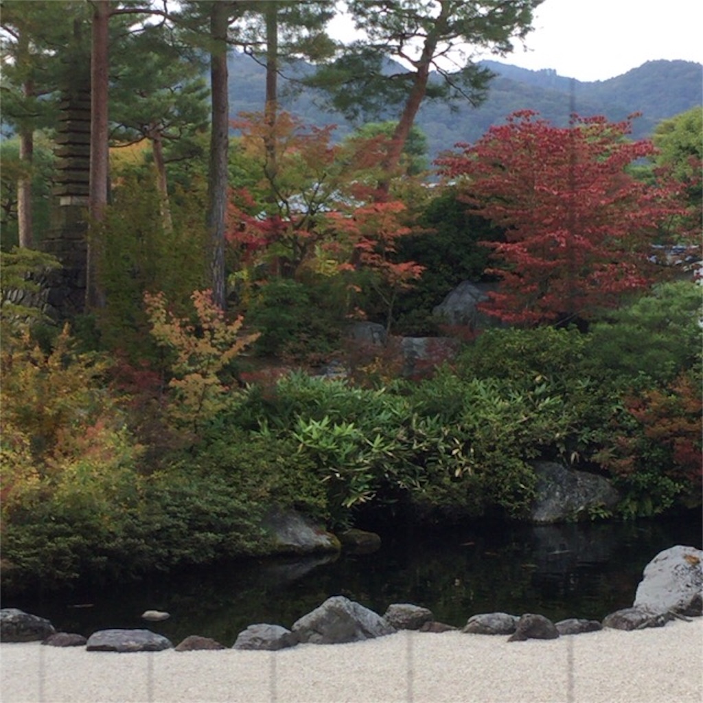 f:id:navie_kyouko131126:20151031225901j:image f:id:navie_kyouko131126:20151031225901j:image