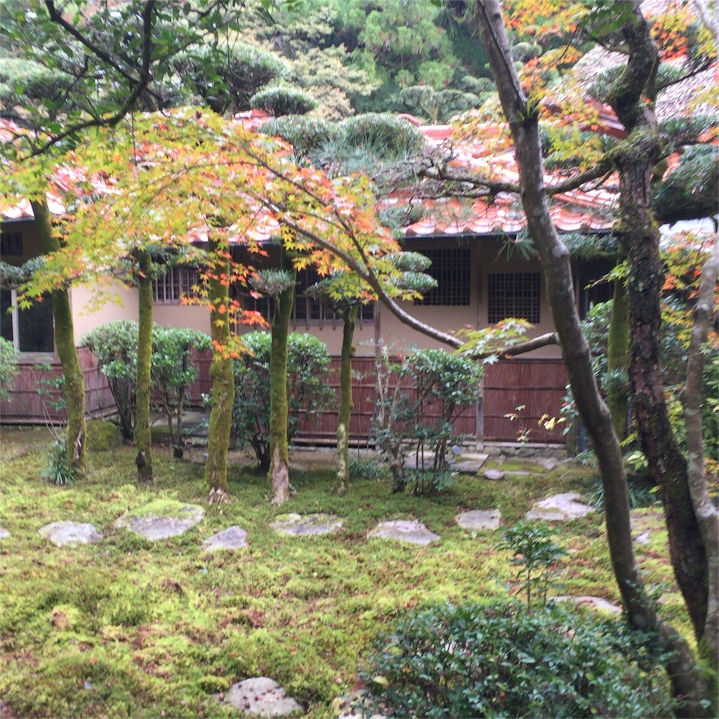 f:id:navie_kyouko131126:20151116201059j:image f:id:navie_kyouko131126:20151116201059j:image