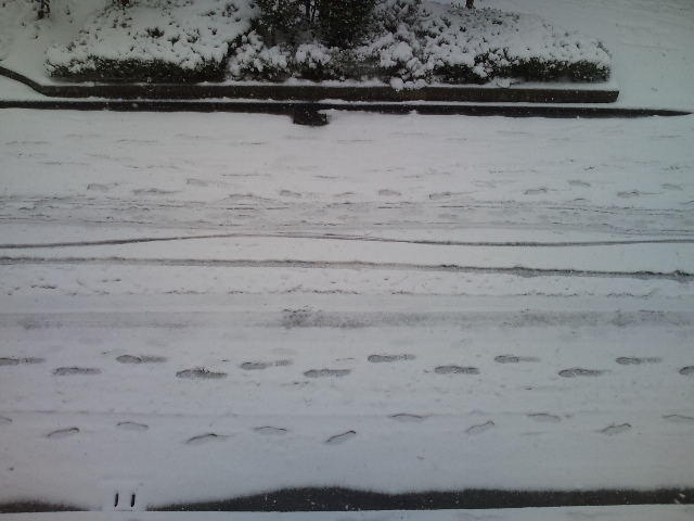 f:id:nbakki:20140208135320j:plain f:id:nbakki:20140208135320j:plain