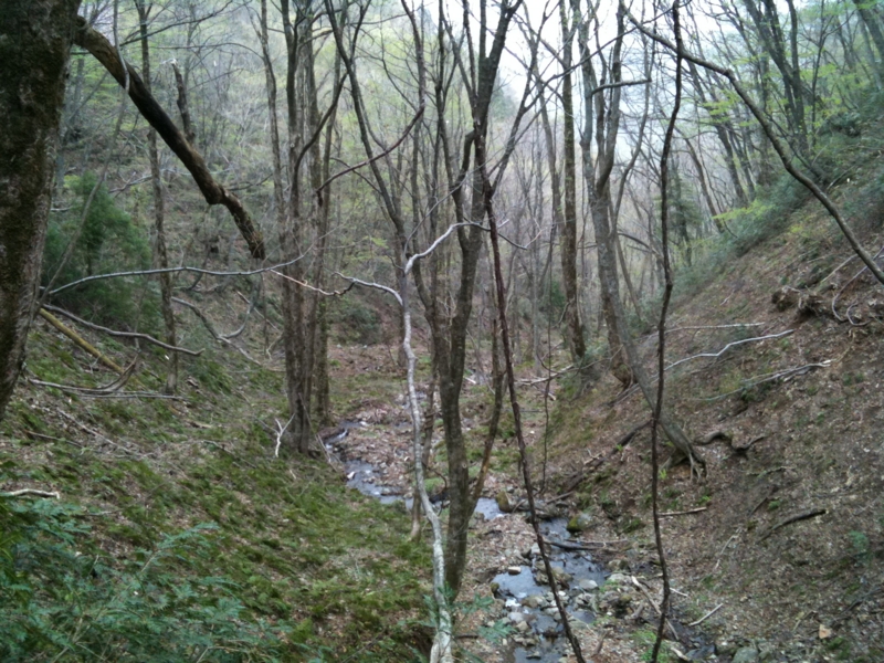 f:id:nceedo:20110503094208j:image f:id:nceedo:20110503094208j:image