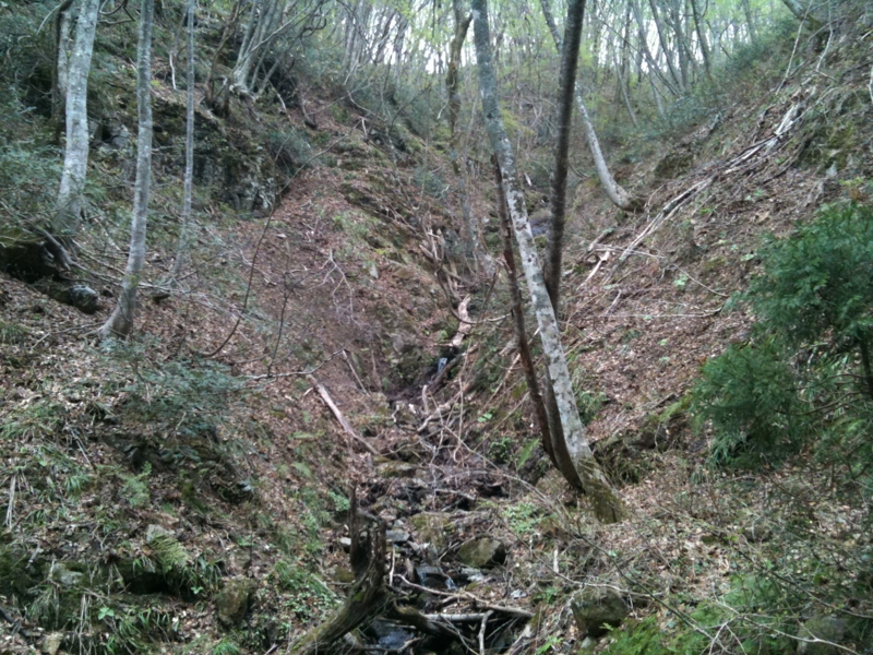 f:id:nceedo:20110503094407j:image f:id:nceedo:20110503094407j:image