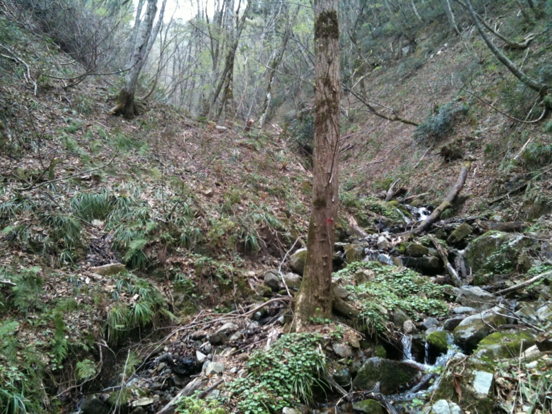 f:id:nceedo:20110503094417j:image f:id:nceedo:20110503094417j:image