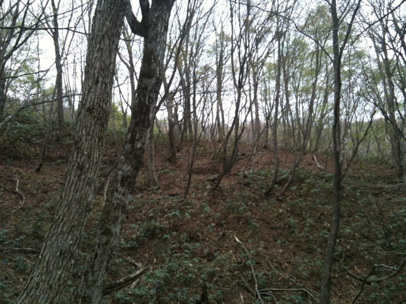 f:id:nceedo:20110503101824j:image f:id:nceedo:20110503101824j:image