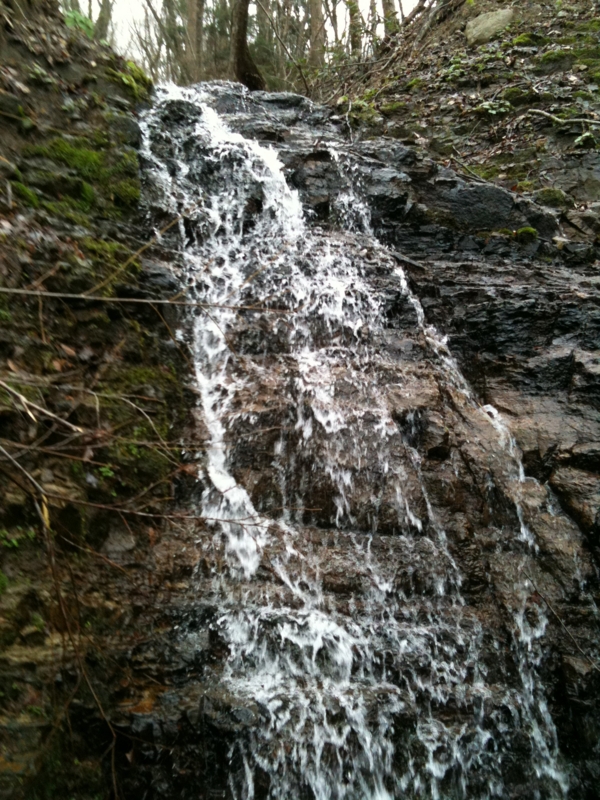 f:id:nceedo:20110503103004j:image f:id:nceedo:20110503103004j:image