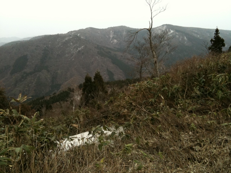 f:id:nceedo:20110503121712j:image f:id:nceedo:20110503121712j:image