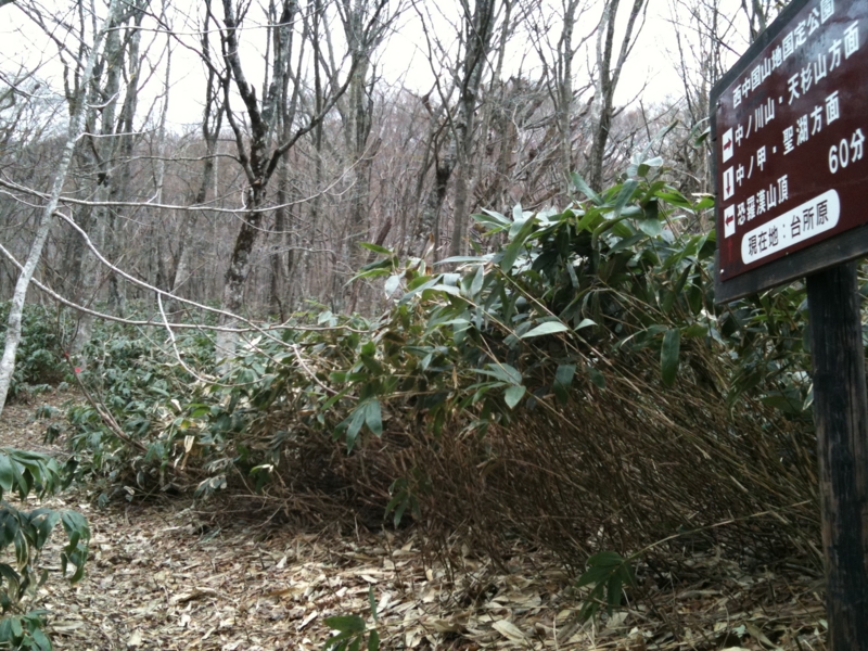 f:id:nceedo:20110503131055j:image f:id:nceedo:20110503131055j:image