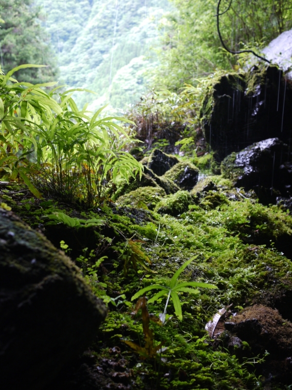 f:id:nceedo:20110612092850j:image