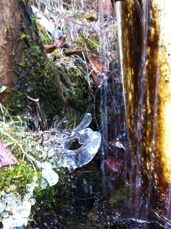 f:id:nceedo:20111217152337j:image