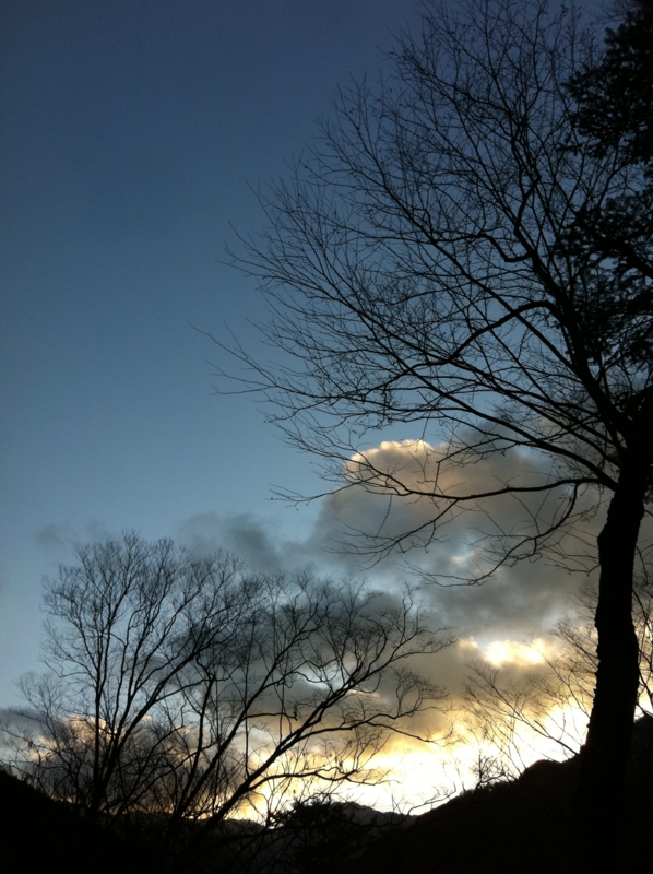 f:id:nceedo:20111217163549j:image