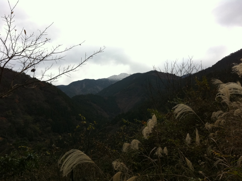 f:id:nceedo:20111218114041j:image