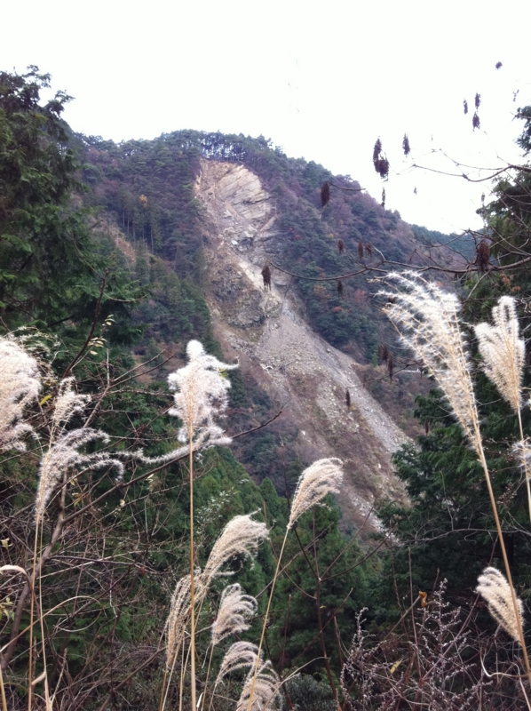 f:id:nceedo:20111218131620j:image f:id:nceedo:20111218131620j:image