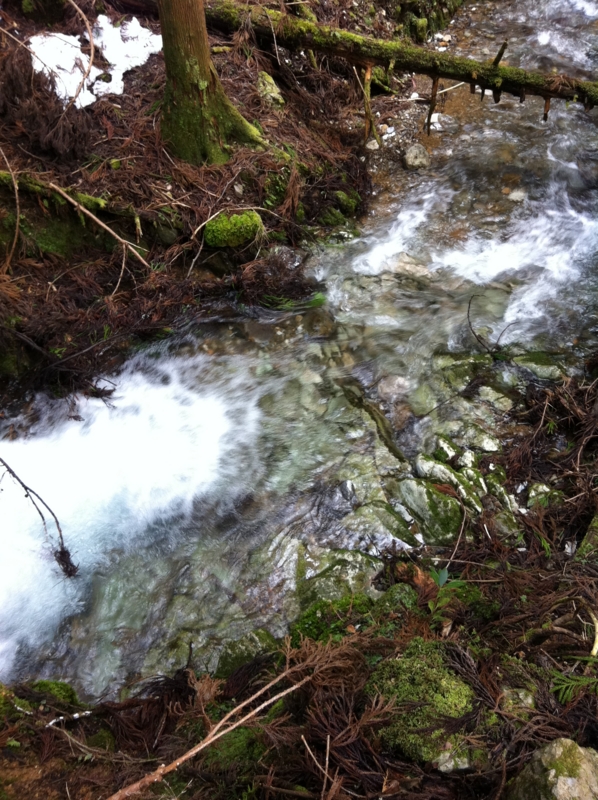 f:id:nceedo:20120311150736j:image