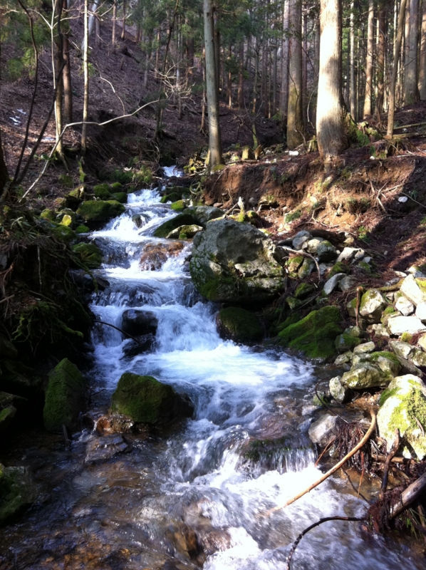 f:id:nceedo:20120311151501j:image