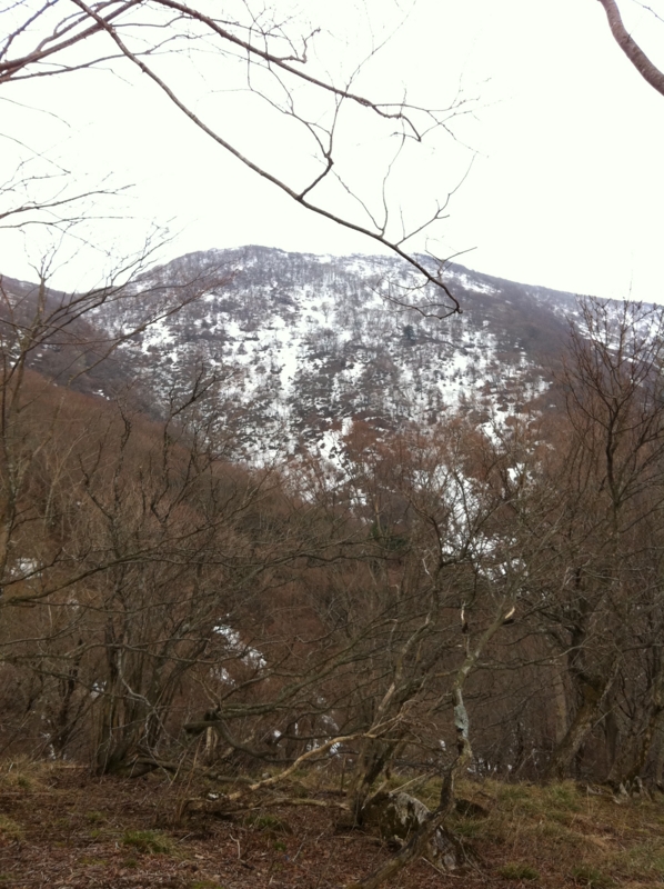 f:id:nceedo:20120311154916j:image