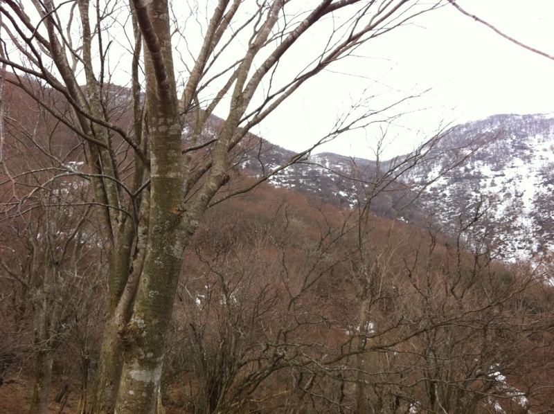 f:id:nceedo:20120311154924j:image