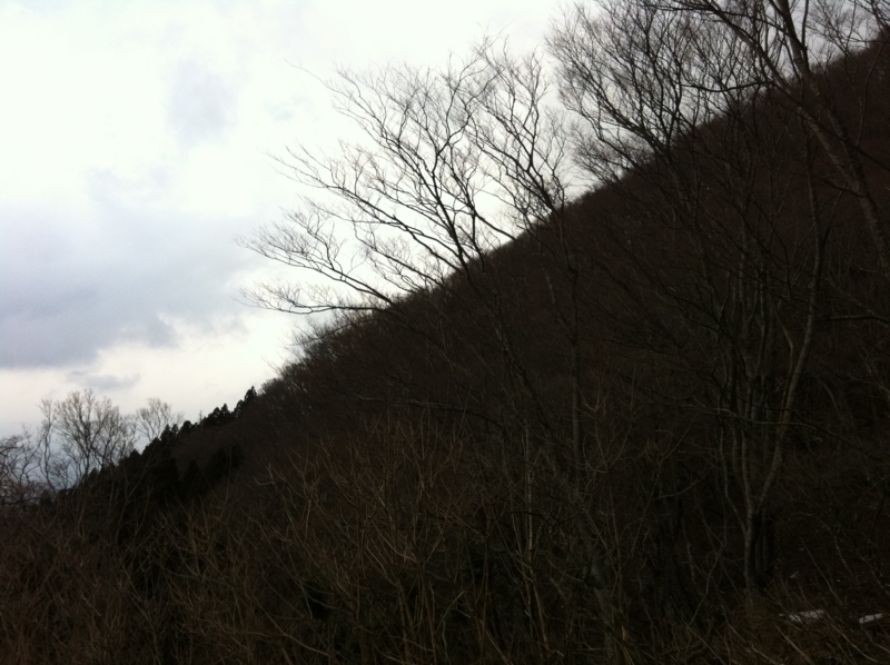 f:id:nceedo:20120311155059j:image