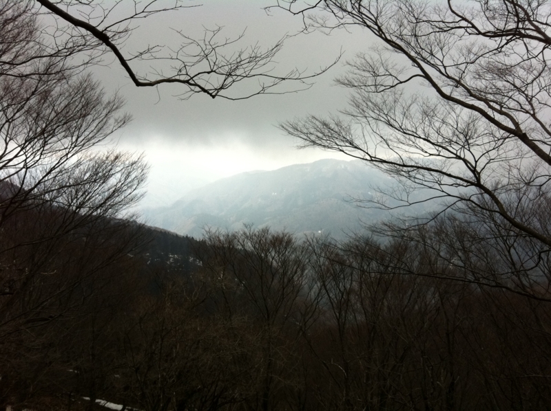 f:id:nceedo:20120311155730j:image