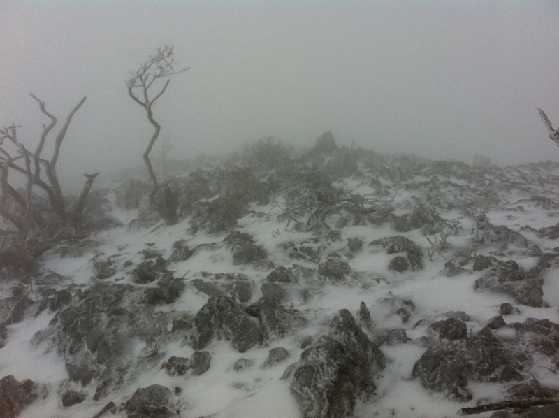 f:id:nceedo:20120311164337j:image