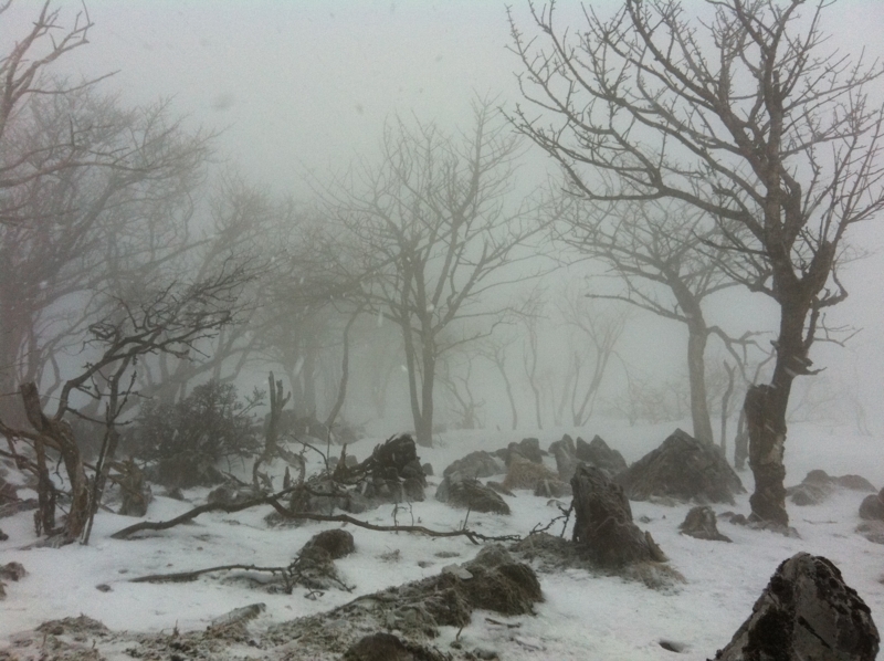 f:id:nceedo:20120311164350j:image