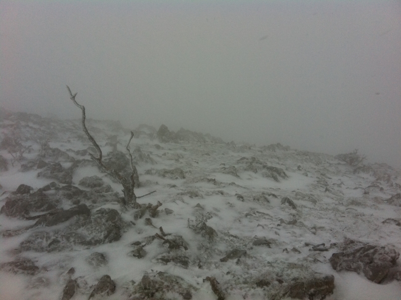 f:id:nceedo:20120311164402j:image