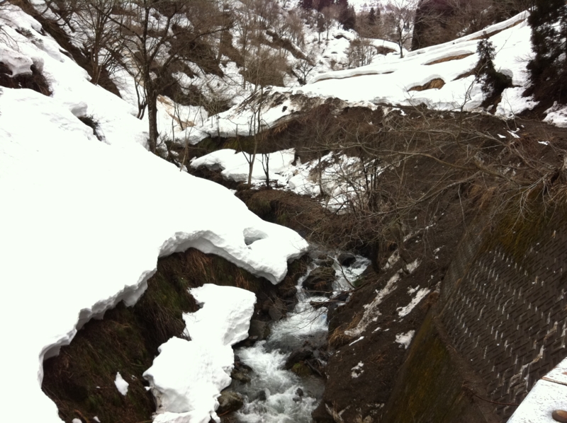 f:id:nceedo:20120318104757j:image f:id:nceedo:20120318104757j:image