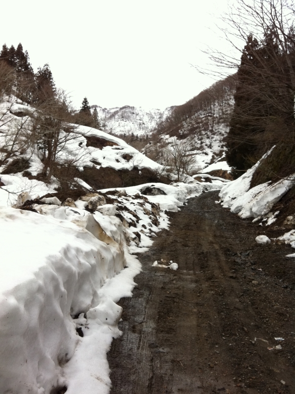 f:id:nceedo:20120318105123j:image f:id:nceedo:20120318105123j:image