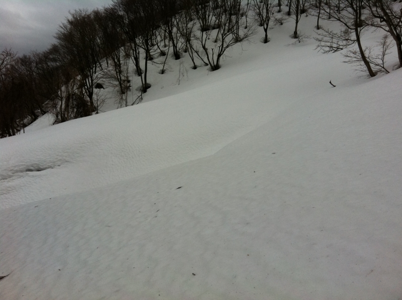 f:id:nceedo:20120318121611j:image f:id:nceedo:20120318121611j:image