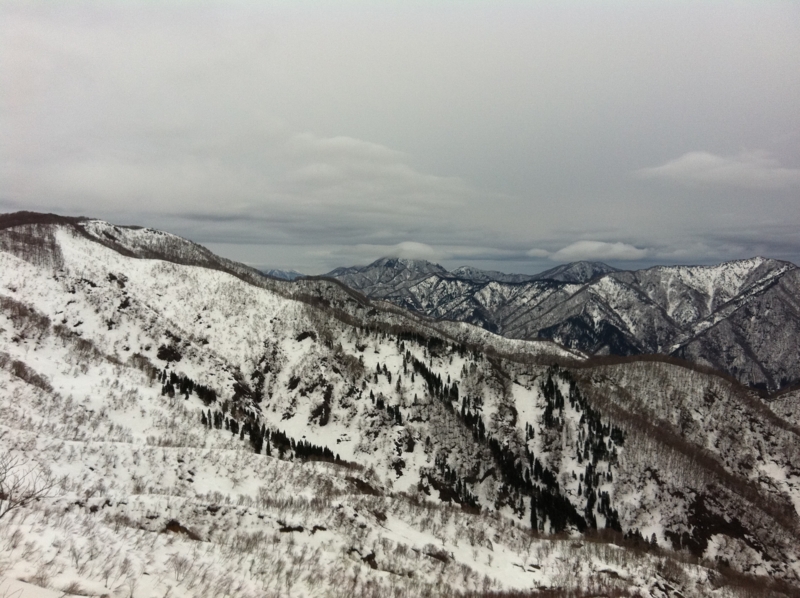 f:id:nceedo:20120318132754j:image f:id:nceedo:20120318132754j:image