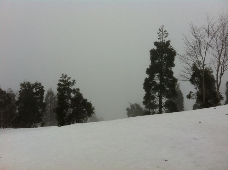 f:id:nceedo:20120318144359j:image f:id:nceedo:20120318144359j:image
