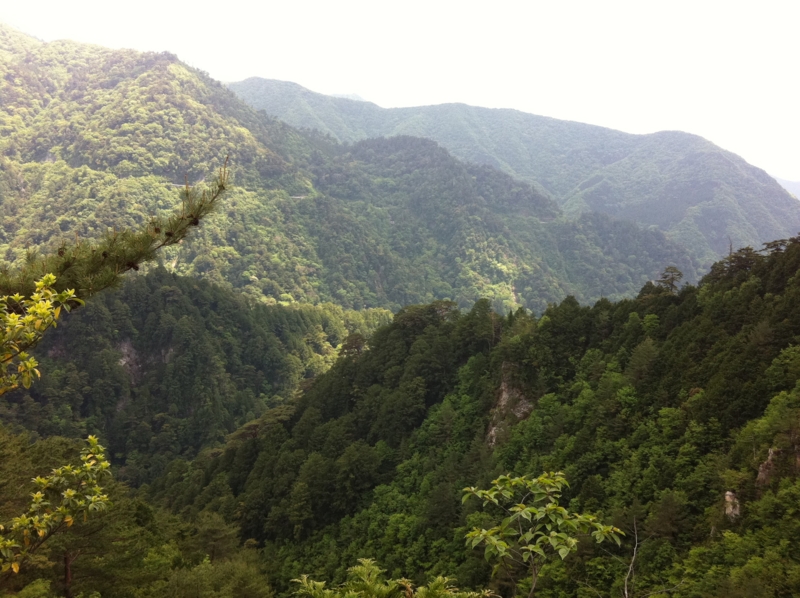 f:id:nceedo:20120527124552j:image