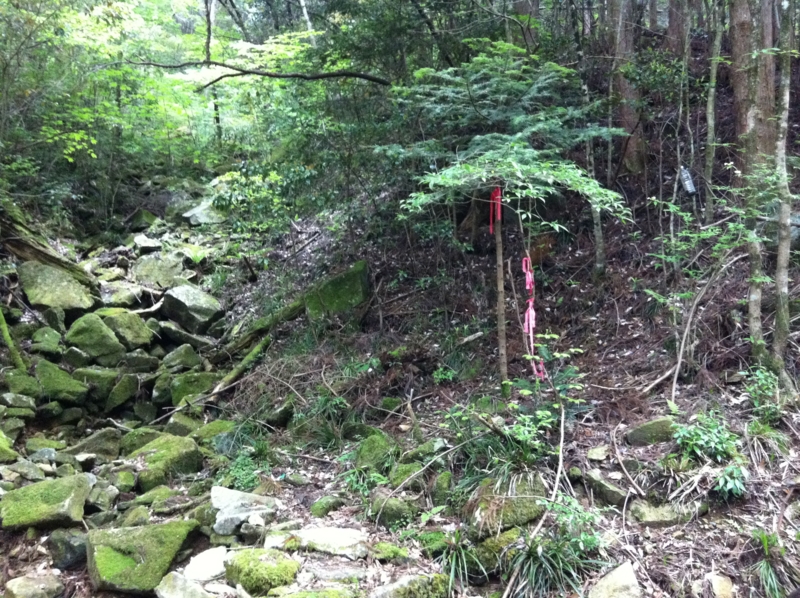 f:id:nceedo:20120527145214j:image