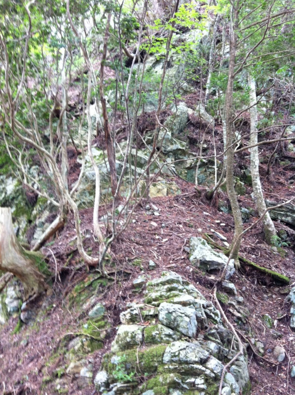 f:id:nceedo:20120909133017j:image