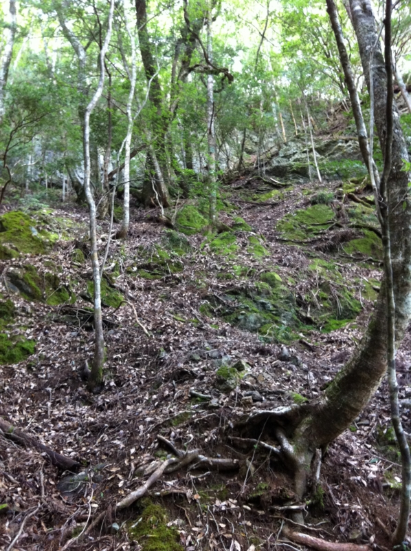 f:id:nceedo:20120909145027j:image