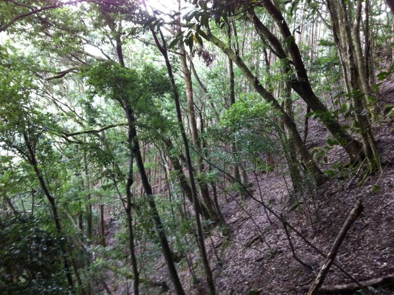 f:id:nceedo:20120909145827j:image