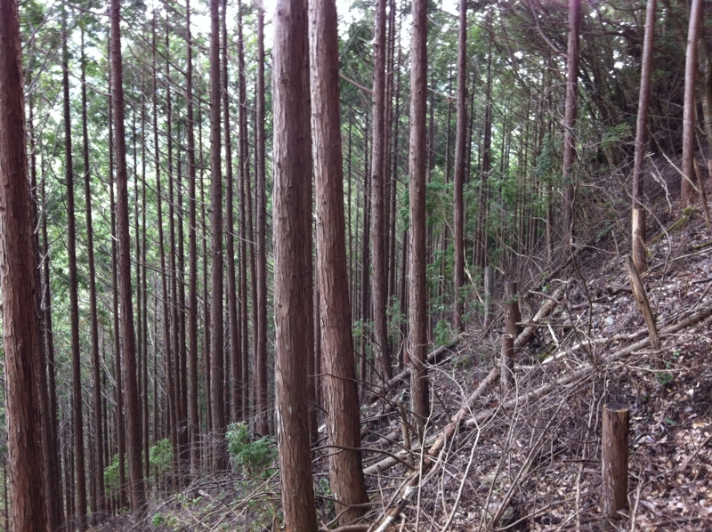 f:id:nceedo:20120909150209j:image