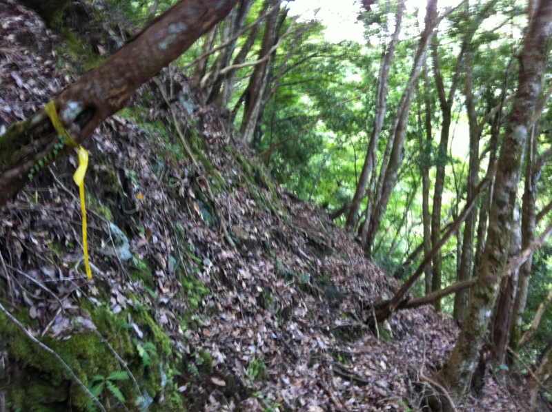 f:id:nceedo:20120909155521j:image