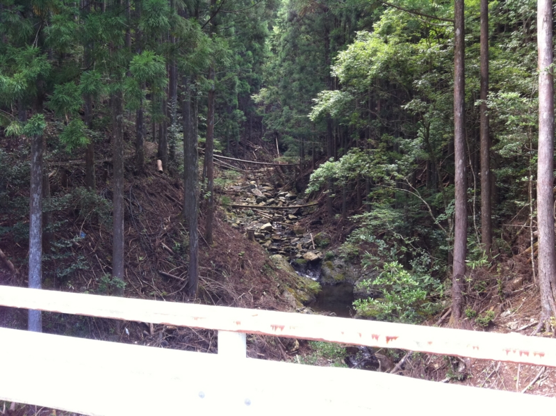 f:id:nceedo:20120909161030j:image