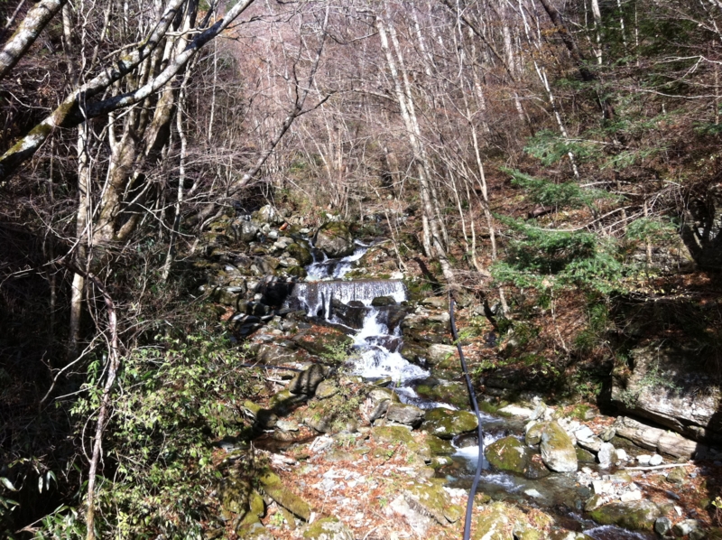 f:id:nceedo:20121118101120j:image f:id:nceedo:20121118101120j:image