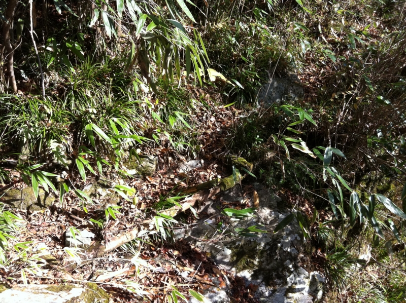 f:id:nceedo:20121118101953j:image f:id:nceedo:20121118101953j:image